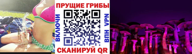 Галлюциногенные грибы GOLDEN TEACHER  KRAKEN как войти  Ефремов 
