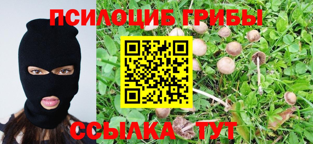 Галлюциногенные грибы MAGIC MUSHROOMS Ефремов